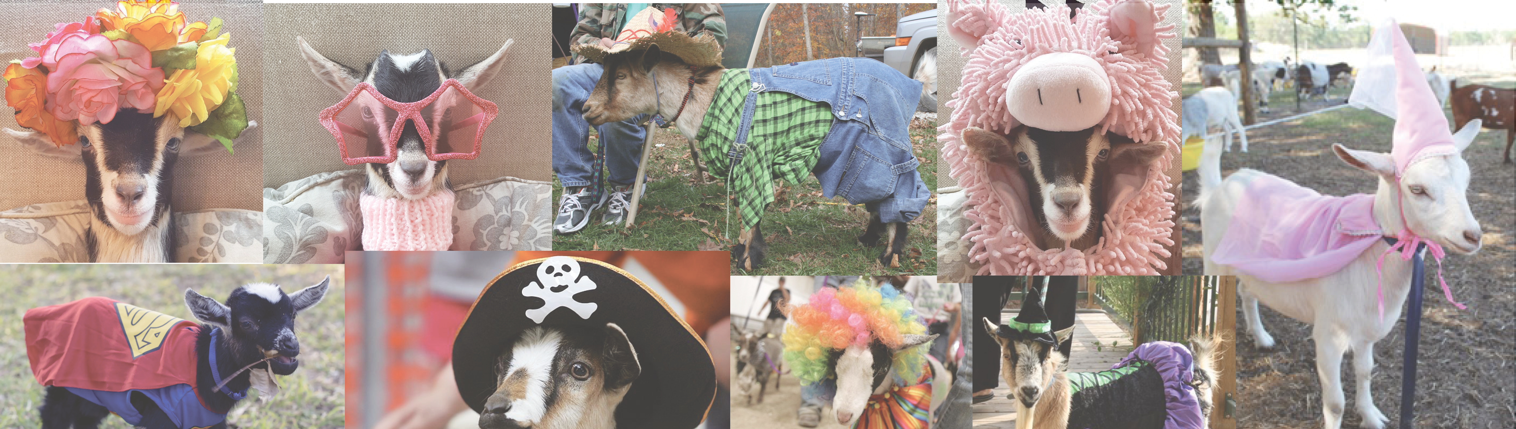 goat_couture_fashion_show_2023